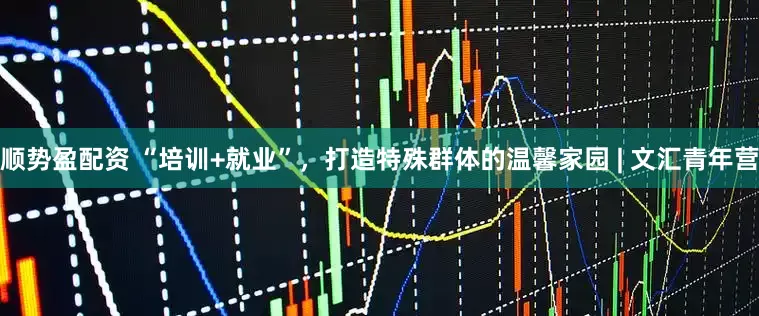 顺势盈配资 “培训+就业”，打造特殊群体的温馨家园 | 文汇青年营