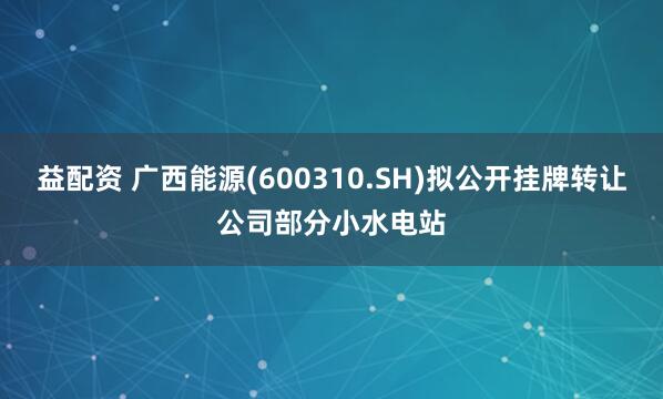 益配资 广西能源(600310.SH)拟公开挂牌转让公司部分小水电站